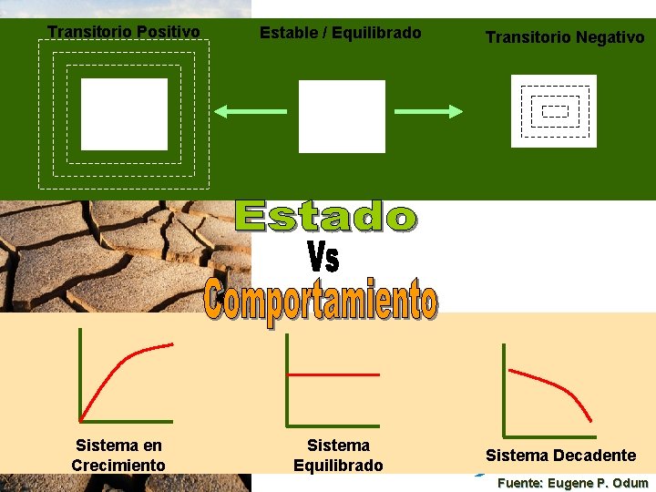 Transitorio Positivo Sistema en Crecimiento Estable / Equilibrado Sistema Equilibrado Transitorio Negativo Sistema Decadente