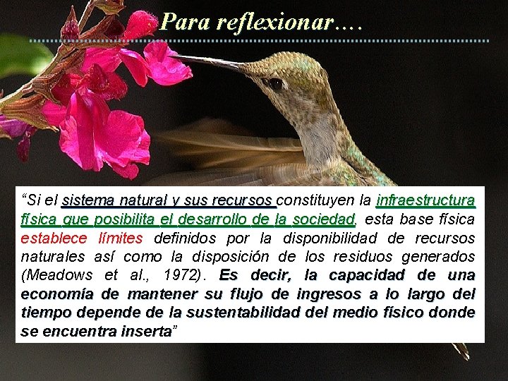 Para reflexionar…. “Si el sistema natural y sus recursos constituyen la infraestructura física que