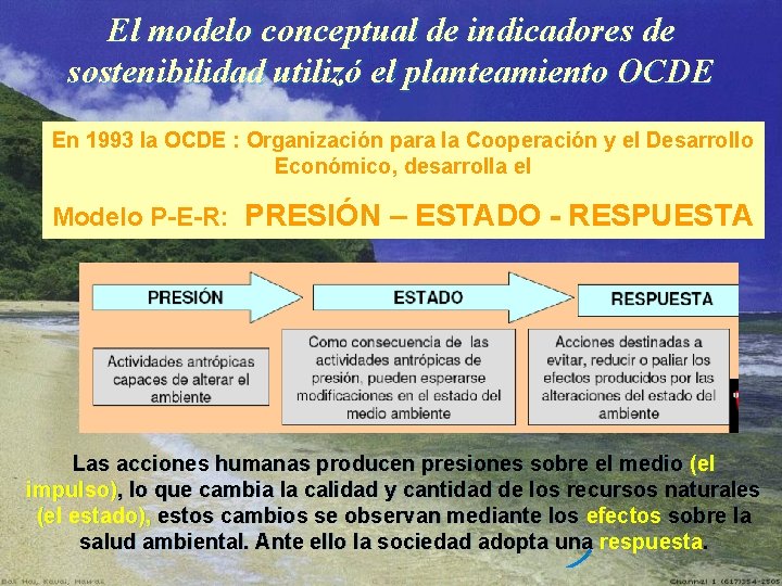 El modelo conceptual de indicadores de sostenibilidad utilizó el planteamiento OCDE En 1993 la