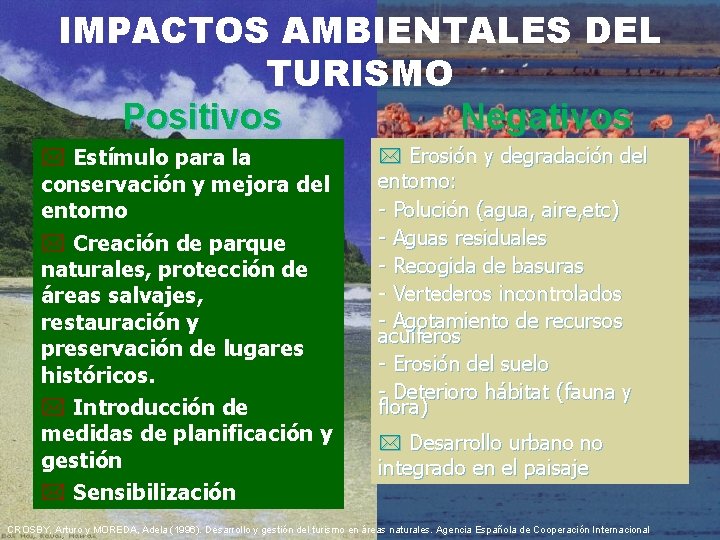 IMPACTOS AMBIENTALES DEL TURISMO Positivos Negativos * Estímulo para la conservación y mejora del