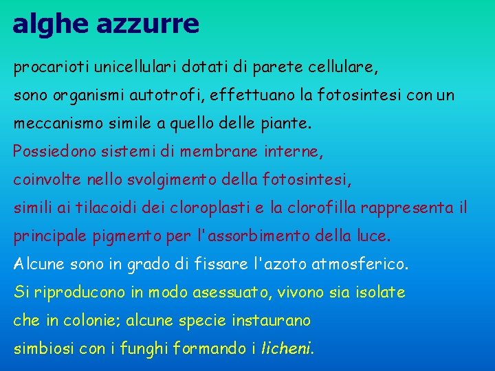 alghe azzurre procarioti unicellulari dotati di parete cellulare, sono organismi autotrofi, effettuano la fotosintesi