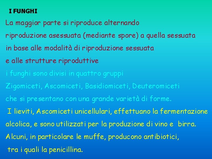 I FUNGHI La maggior parte si riproduce alternando riproduzione asessuata (mediante spore) a quella