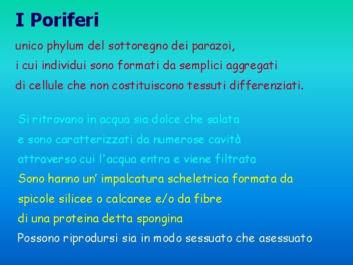 I Poriferi unico phylum del sottoregno dei parazoi, i cui individui sono formati da