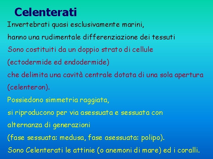 Celenterati Invertebrati quasi esclusivamente marini, hanno una rudimentale differenziazione dei tessuti Sono costituiti da