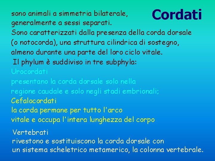 Cordati sono animali a simmetria bilaterale, generalmente a sessi separati. Sono caratterizzati dalla presenza