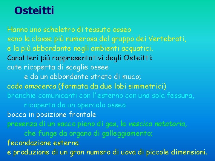 Osteitti Hanno uno scheletro di tessuto osseo sono la classe più numerosa del gruppo