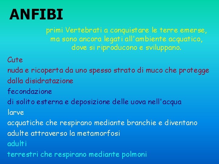 ANFIBI primi Vertebrati a conquistare le terre emerse, ma sono ancora legati all'ambiente acquatico,