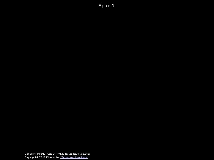 Figure 5 Cell 2011 144689 -702 DOI: (10. 1016/j. cell. 2011. 02. 010) Copyright