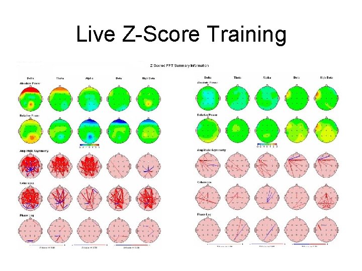 Live Z-Score Training 