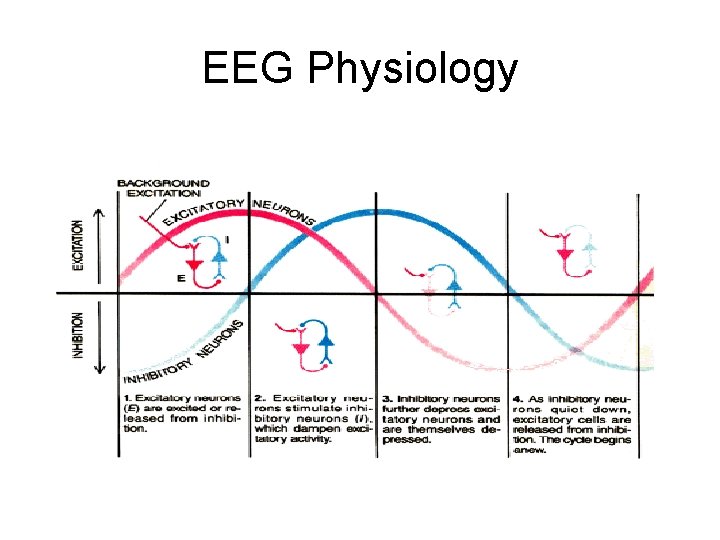 EEG Physiology 