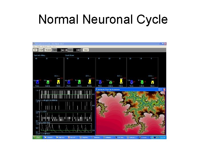 Normal Neuronal Cycle 