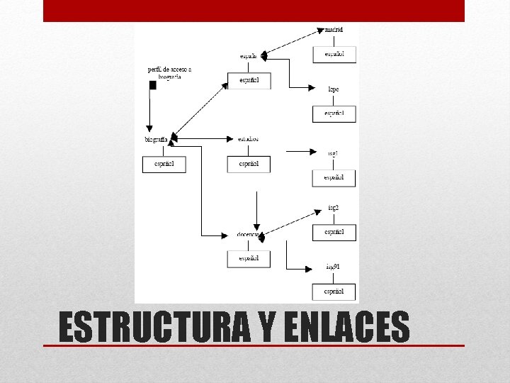 ESTRUCTURA Y ENLACES 