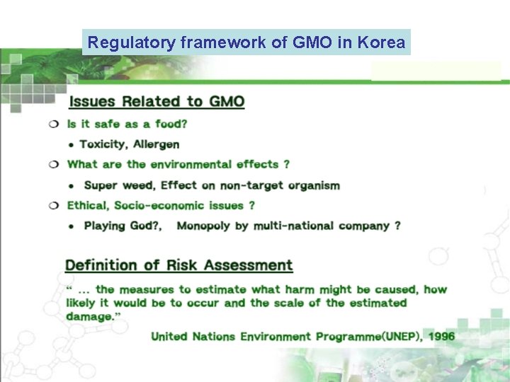 Regulatory framework of GMO in Korea Regulatory framework of GMO in Korea