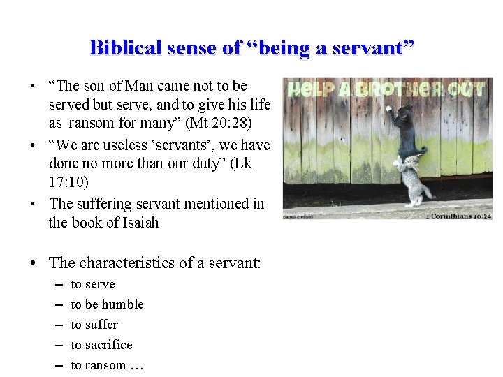 Biblical sense of “being a servant” • “The son of Man came not to