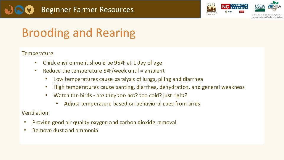 Beginner Farmer Resources Brooding and Rearing Temperature • • Chick environment should be 95ºF