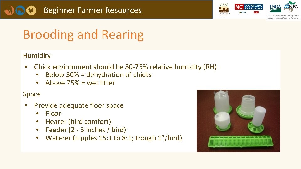 Beginner Farmer Resources Brooding and Rearing Humidity • Chick environment should be 30 -75%