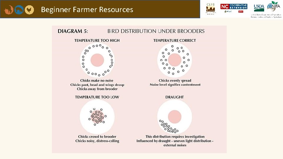 Beginner Farmer Resources 