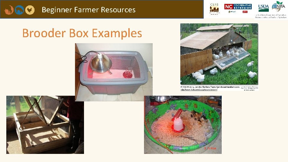 Beginner Farmer Resources Brooder Box Examples 