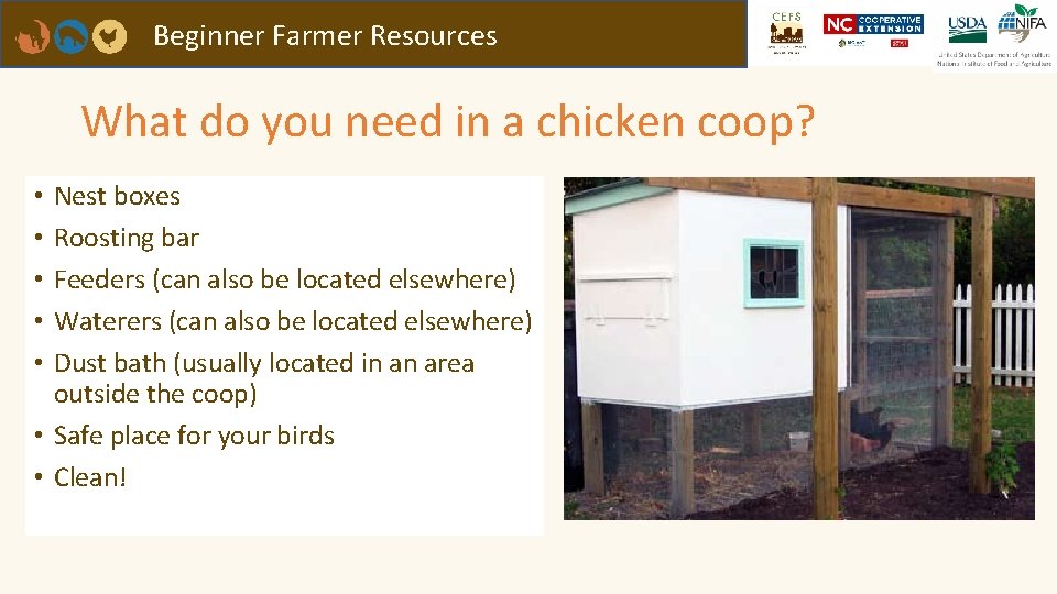 Beginner Farmer Resources What do you need in a chicken coop? Nest boxes Roosting