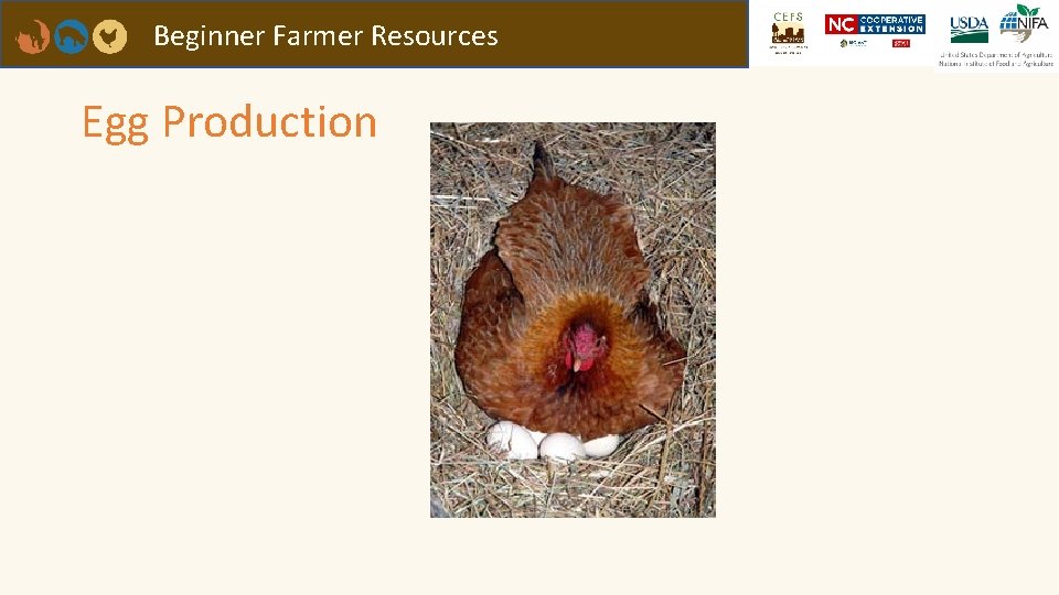 Beginner Farmer Resources Egg Production 
