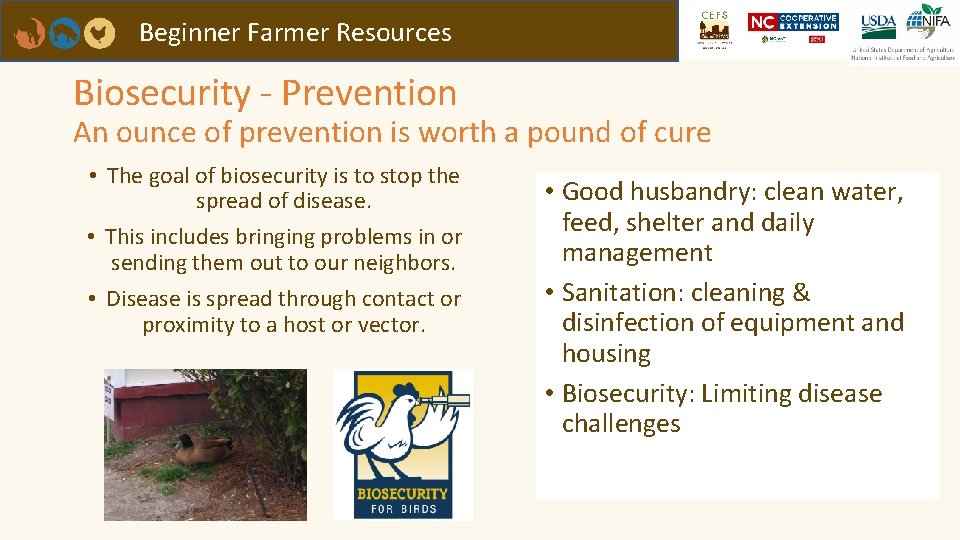 Beginner Farmer Resources Biosecurity - Prevention An ounce of prevention is worth a pound