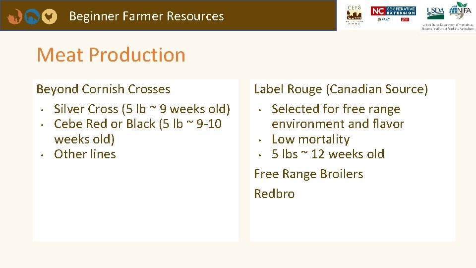 Beginner Farmer Resources Meat Production Beyond Cornish Crosses • Silver Cross (5 lb ~