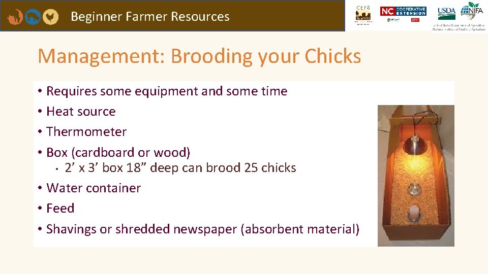 Beginner Farmer Resources Management: Brooding your Chicks • Requires some equipment and some time