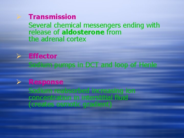 Ø Transmission Several chemical messengers ending with release of aldosterone from the adrenal cortex