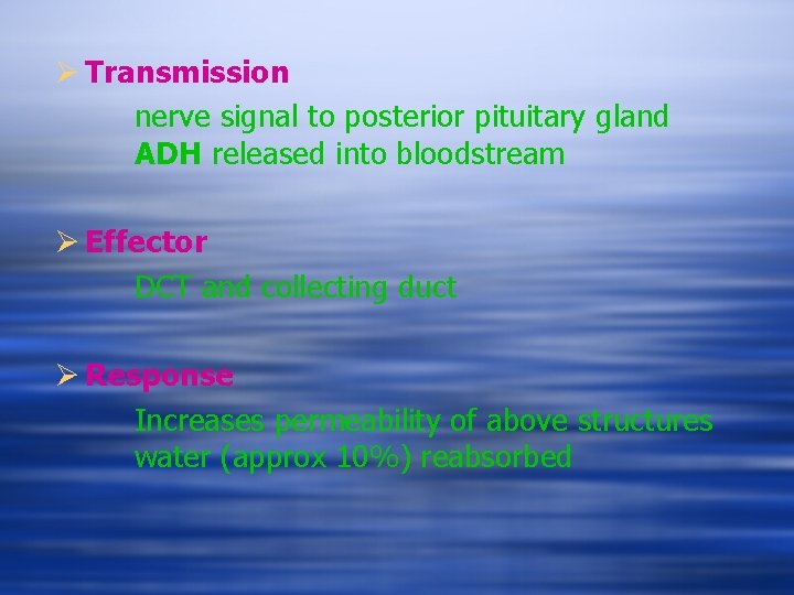 Ø Transmission nerve signal to posterior pituitary gland ADH released into bloodstream Ø Effector