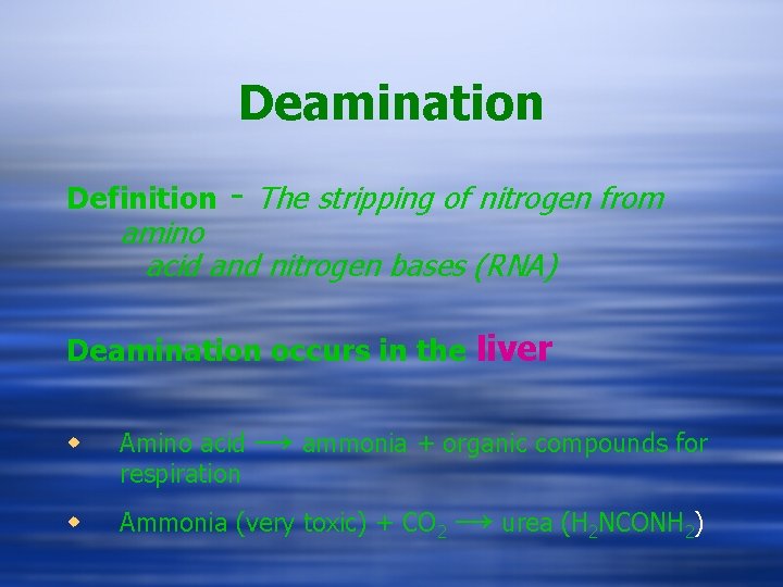 Deamination Definition - The stripping of nitrogen from amino acid and nitrogen bases (RNA)