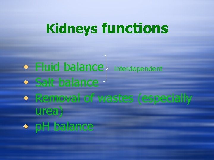 Kidneys functions w Fluid balance Interdependent w Salt balance w Removal of wastes (especially