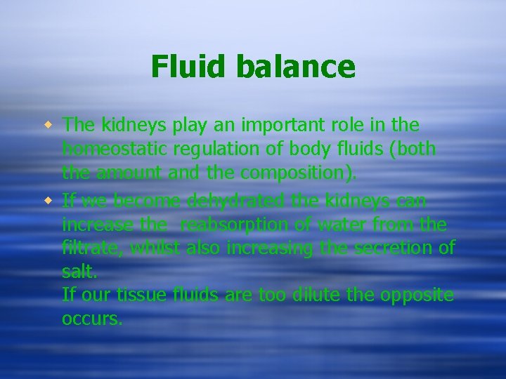 Fluid balance w The kidneys play an important role in the homeostatic regulation of