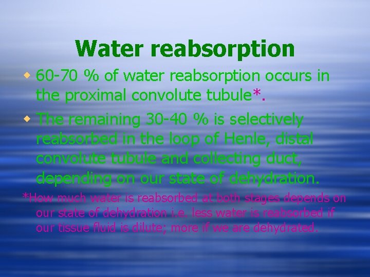 Water reabsorption w 60 -70 % of water reabsorption occurs in the proximal convolute