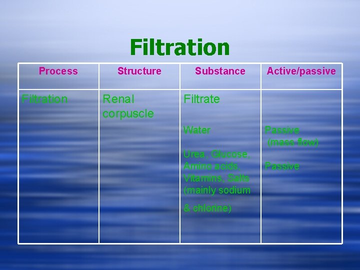 Filtration Process Filtration Structure Renal corpuscle Substance Active/passive Filtrate Water Urea, Glucose, Amino acids,