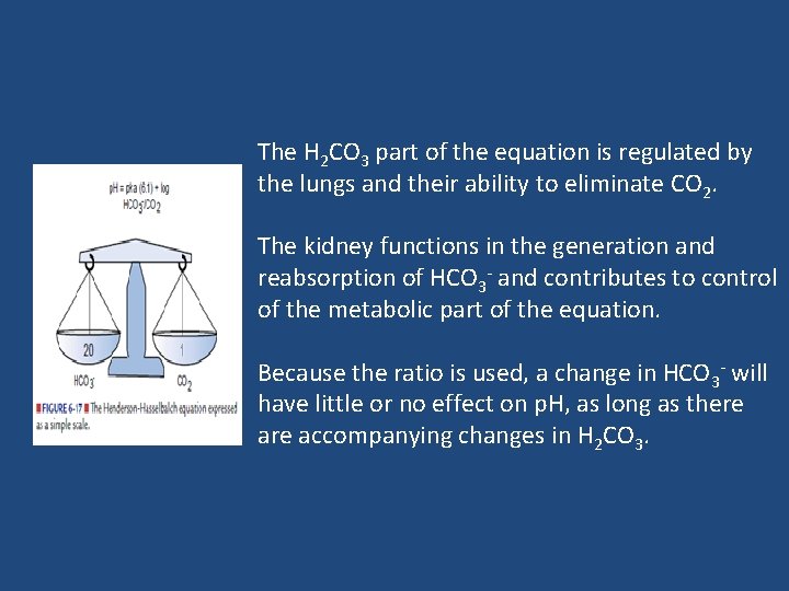 The H 2 CO 3 part of the equation is regulated by the lungs
