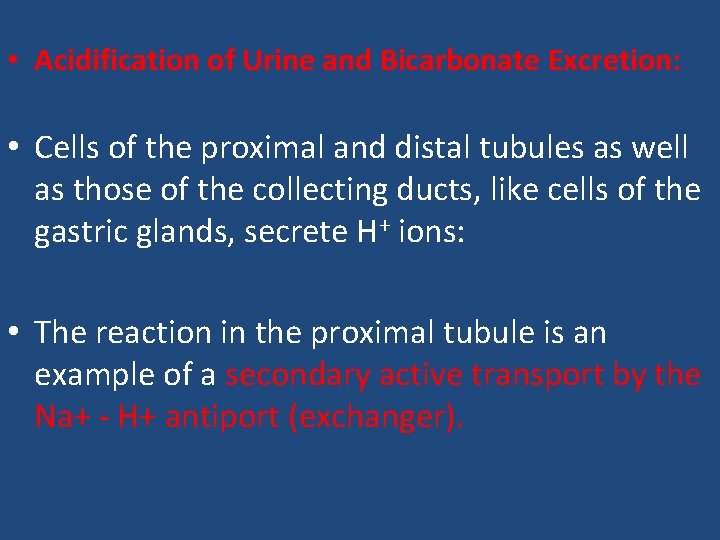  • Acidification of Urine and Bicarbonate Excretion: • Cells of the proximal and