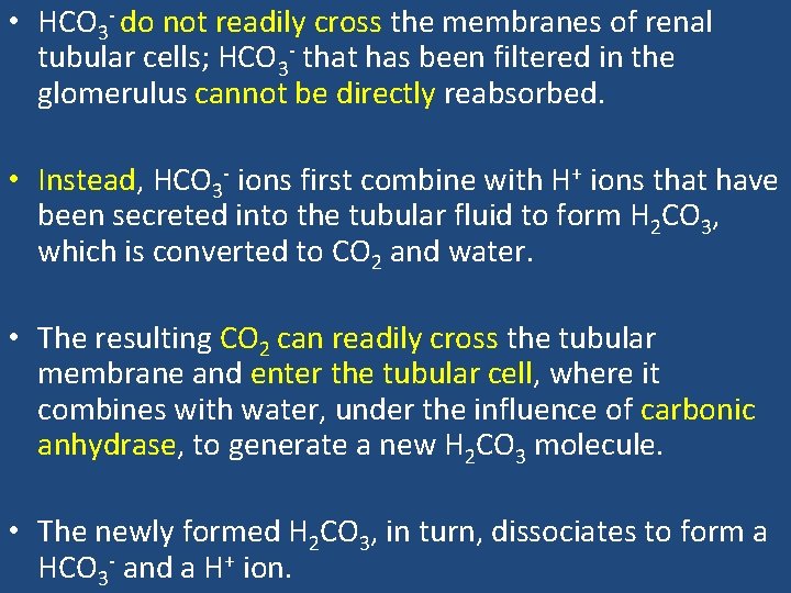  • HCO 3 - do not readily cross the membranes of renal tubular
