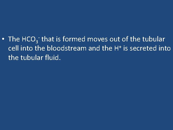  • The HCO 3 - that is formed moves out of the tubular