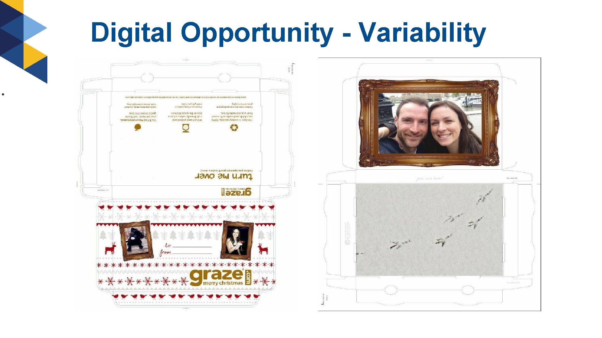 Digital Opportunity - Variability • 