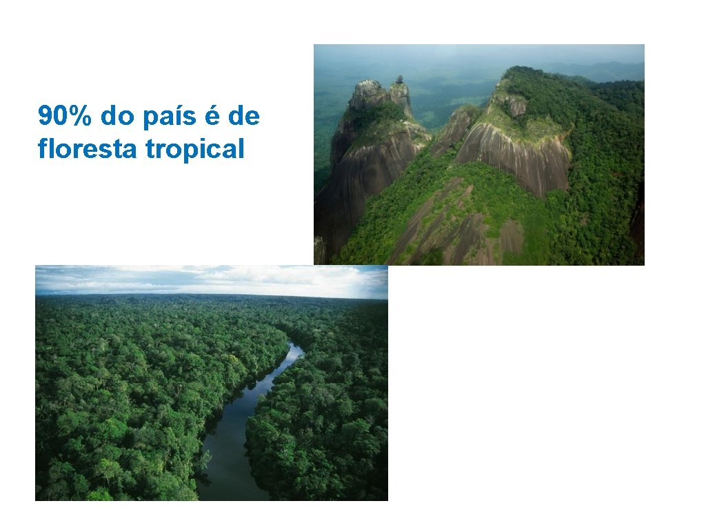 90% do país é de floresta tropical 