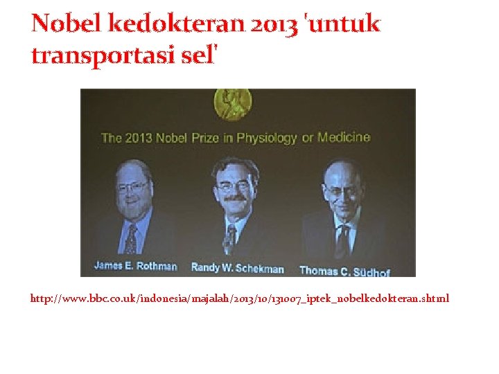 Nobel kedokteran 2013 'untuk transportasi sel' http: //www. bbc. co. uk/indonesia/majalah/2013/10/131007_iptek_nobelkedokteran. shtml 