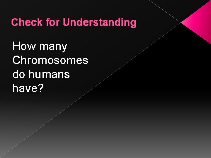 Check for Understanding How many Chromosomes do humans have? 