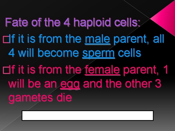 Fate of the 4 haploid cells: �If it is from the male parent, all