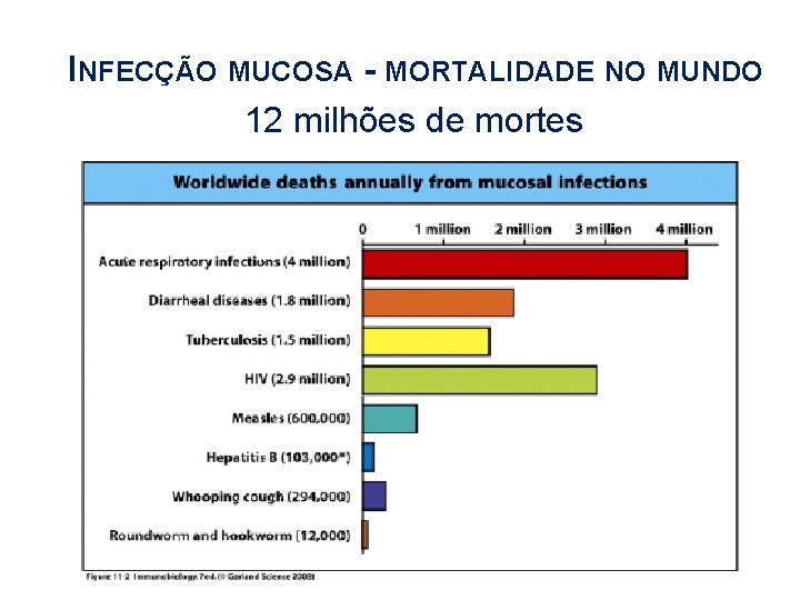 INFECÇÃO MUCOSA - MORTALIDADE NO MUNDO 12 milhões de mortes 