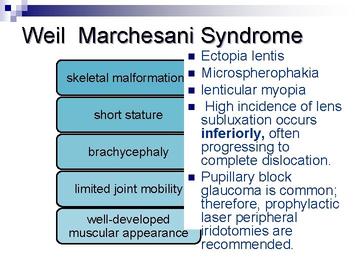 Weil Marchesani Syndrome Ectopia lentis n Microspherophakia skeletal malformations n lenticular myopia n High