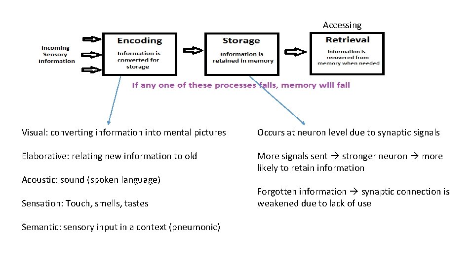 Accessing Visual: converting information into mental pictures Occurs at neuron level due to synaptic