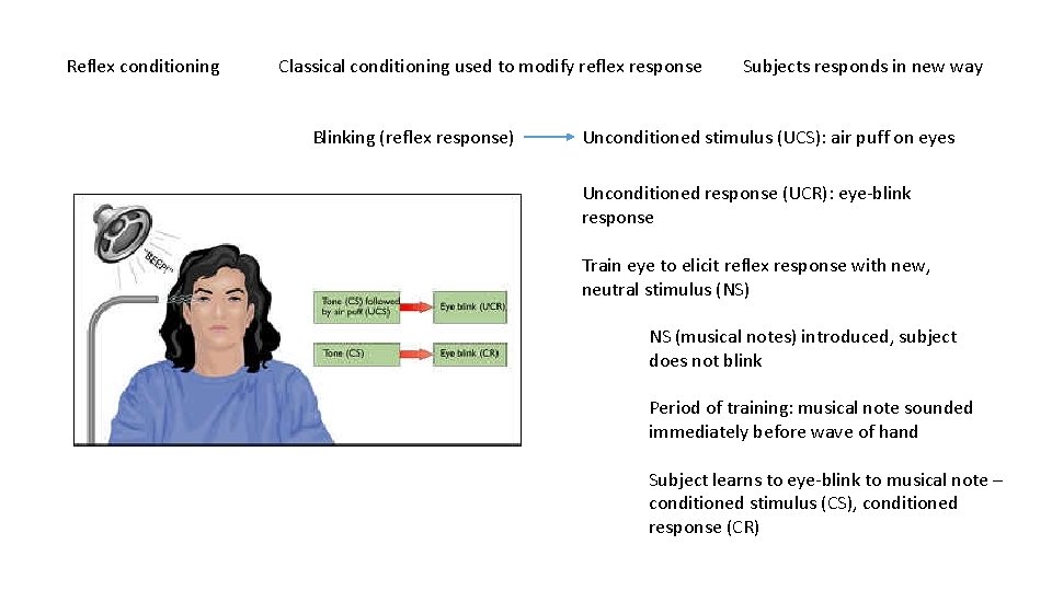 Reflex conditioning Classical conditioning used to modify reflex response Blinking (reflex response) Subjects responds