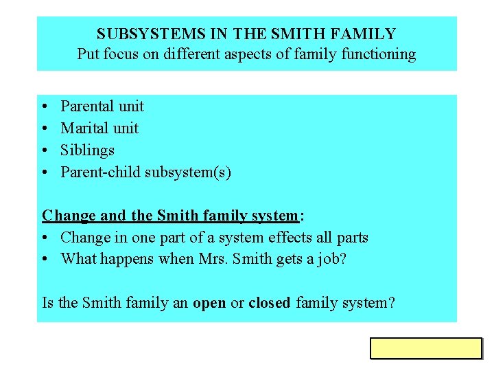 SUBSYSTEMS IN THE SMITH FAMILY Put focus on different aspects of family functioning •
