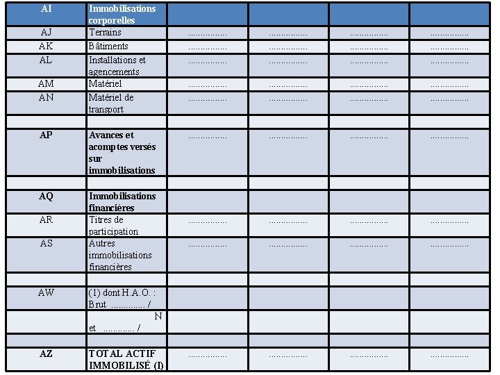 AI AJ AK AL AM AN Immobilisations corporelles Terrains Bâtiments Installations et agencements Matériel