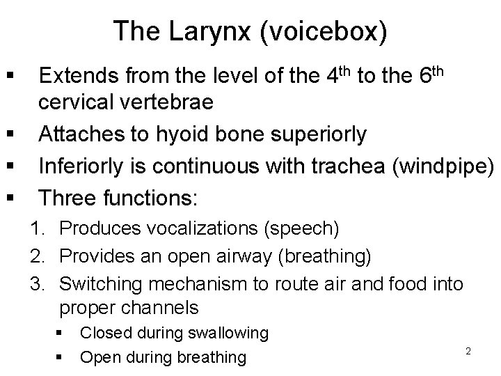 The Larynx (voicebox) § § Extends from the level of the 4 th to